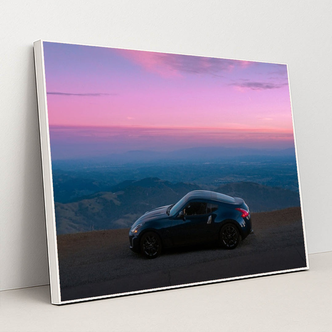 Midnight Z on the Ridge by Enq 1998 - White Frame Stretchiez