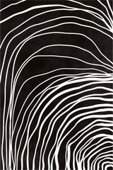 Flowing Curves by Anonymous