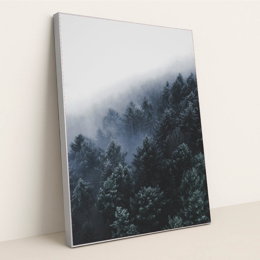 6369 - Product Image