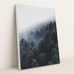 6369 - Product Image