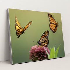 Monarch Butterflies and Zinnia Blossom by Skyler Ewing - Silver Frame Stretchiez