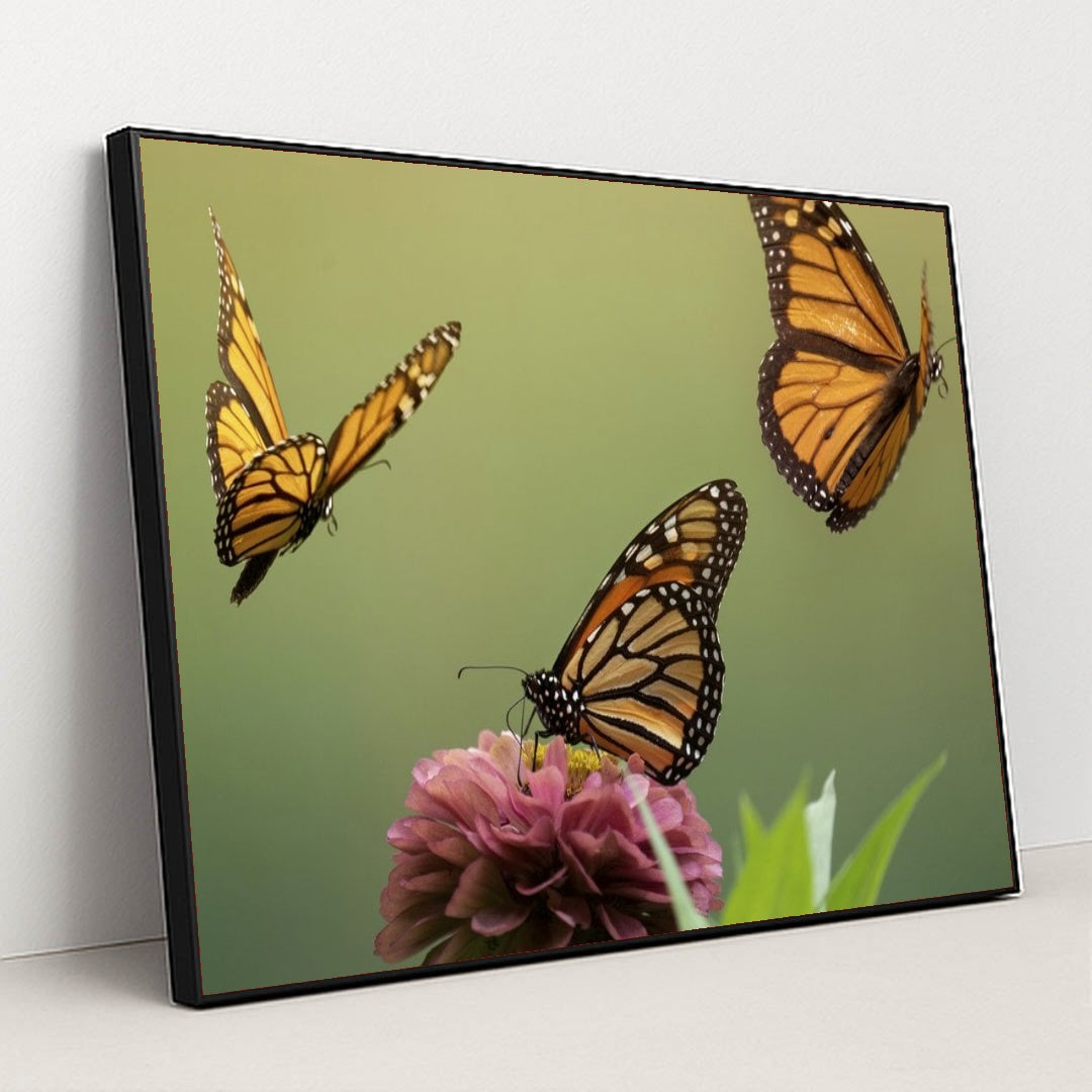 7090296651811 - Product Image