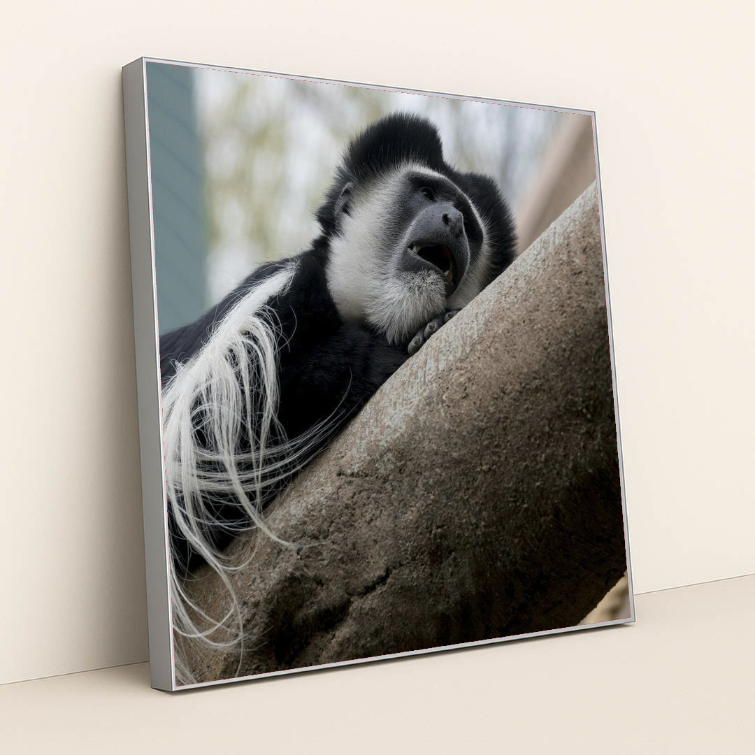 7090342494243 - Product Image