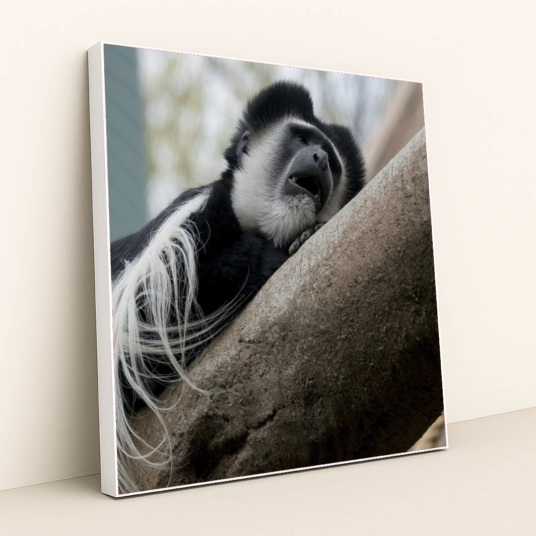 7090342494243 - Product Image