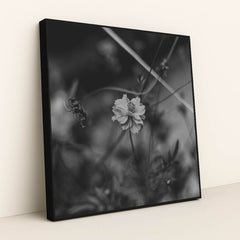 Monochrome Floral Elegance by Animesh Srivastava - Black Frame Stretchiez