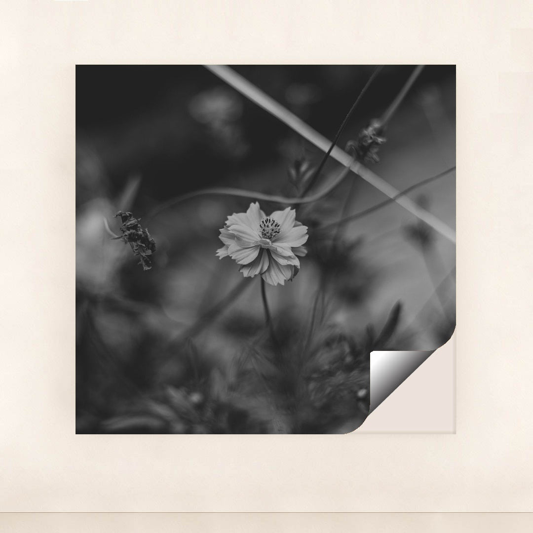 Monochrome Floral Elegance by Animesh Srivastava - Peeliez