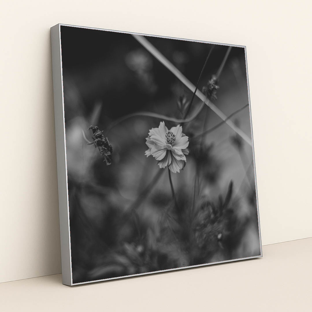 Monochrome Floral Elegance by Animesh Srivastava - Silver Frame Stretchiez