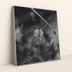 Monochrome Floral Elegance by Animesh Srivastava - Silver Frame Stretchiez