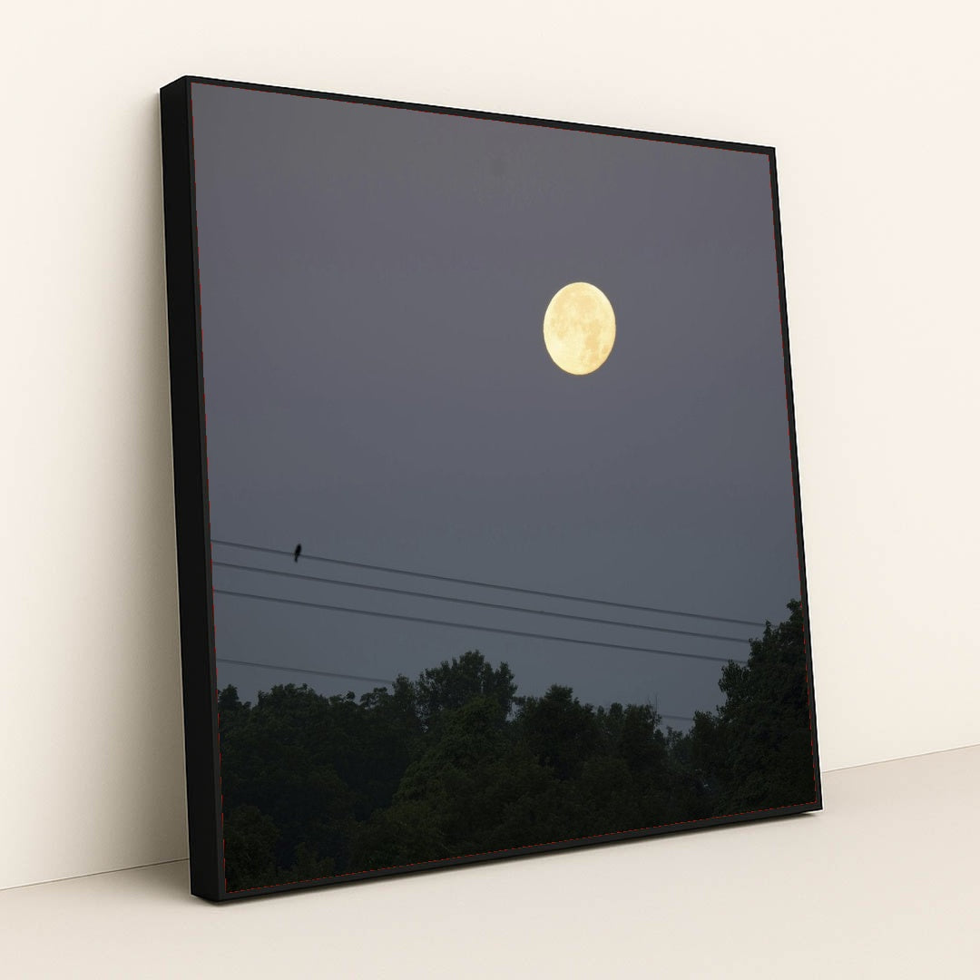 7090691702819 - Product Image