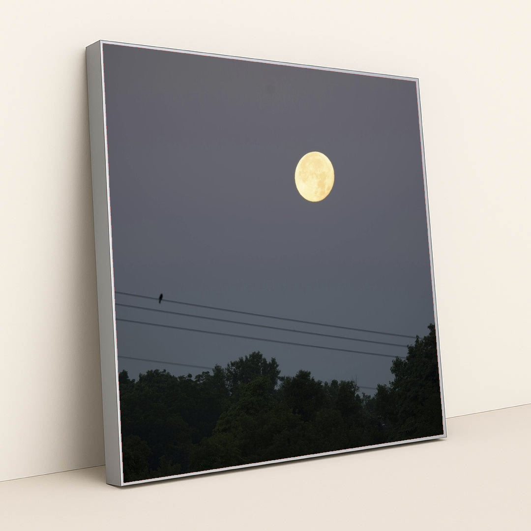 7090691702819 - Product Image