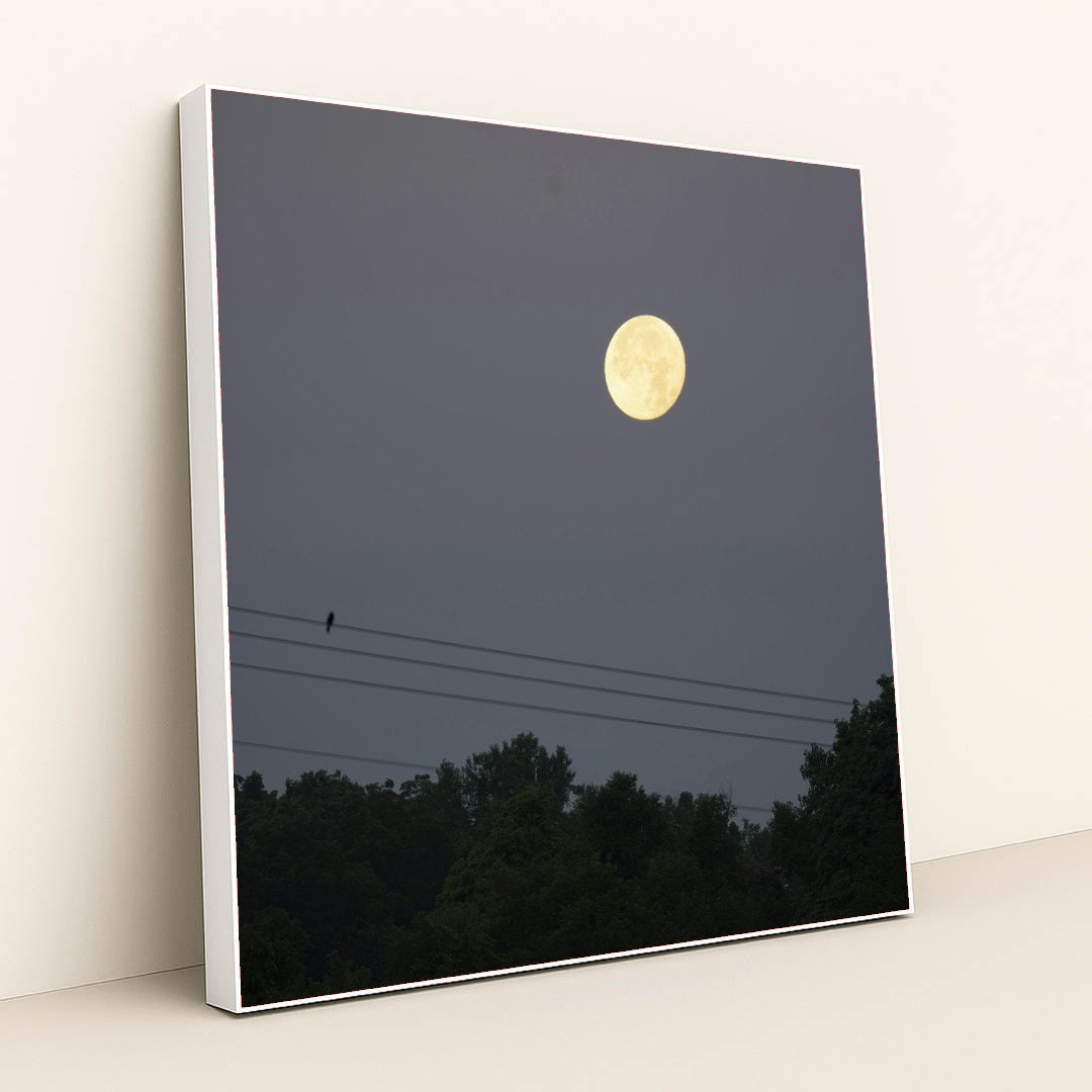 7090691702819 - Product Image