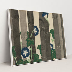 Morning Glories (Asagao) (1909-1910) by Kamisaka Sekka - White Frame Stretchiez