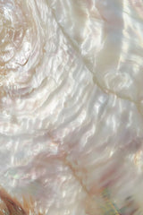 This artwork shows a close-up of iridescent mother-of-pearl shell with swirling light reflections.