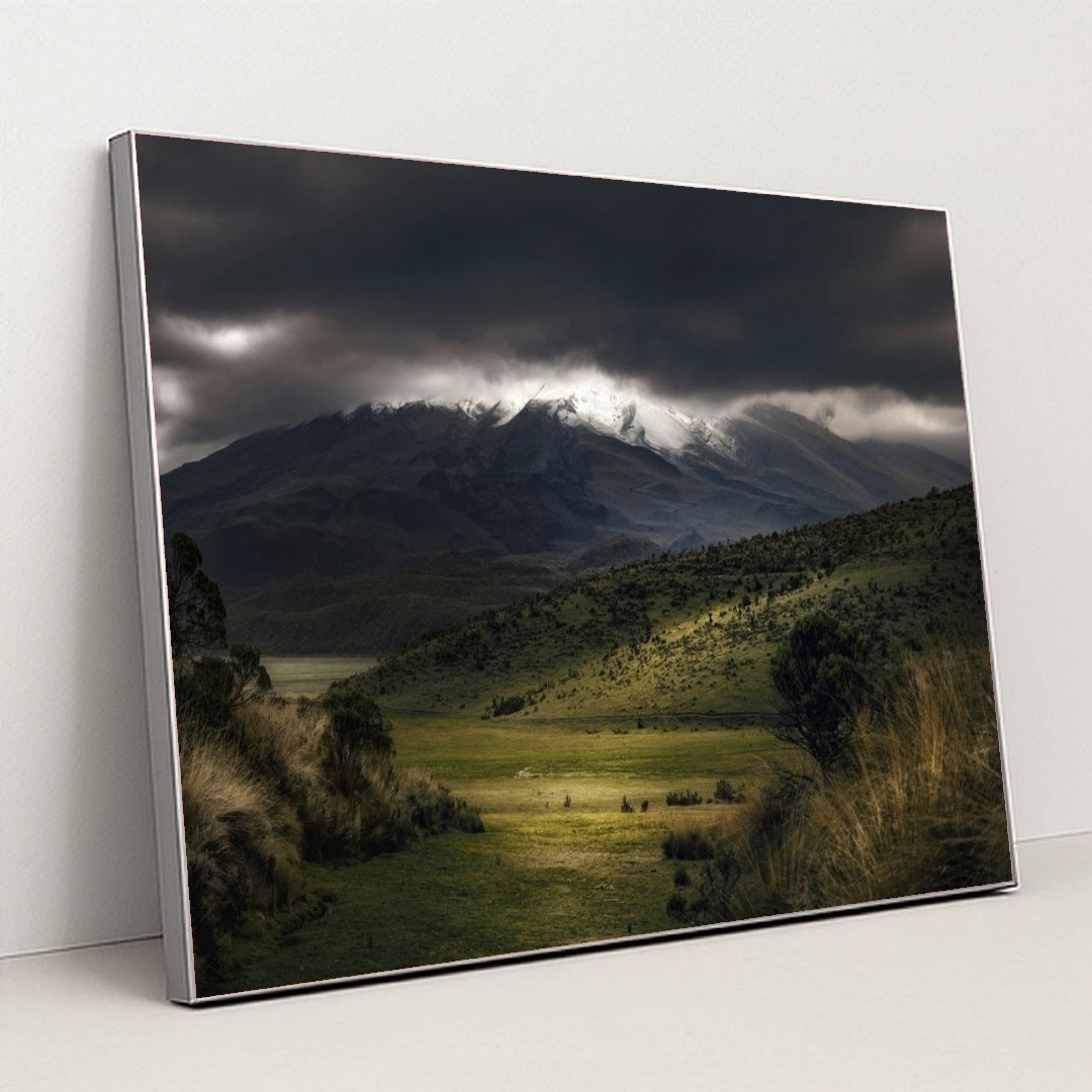 7090387517475 - Product Image