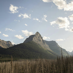 John De Leon - Breathtaking view of a mountain peak surrounded by a forest under a bright sky in Montana.