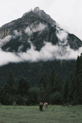 tee Lau - Two horses graze peacefully in a lush landscape beneath a towering, cloud-covered mountain.