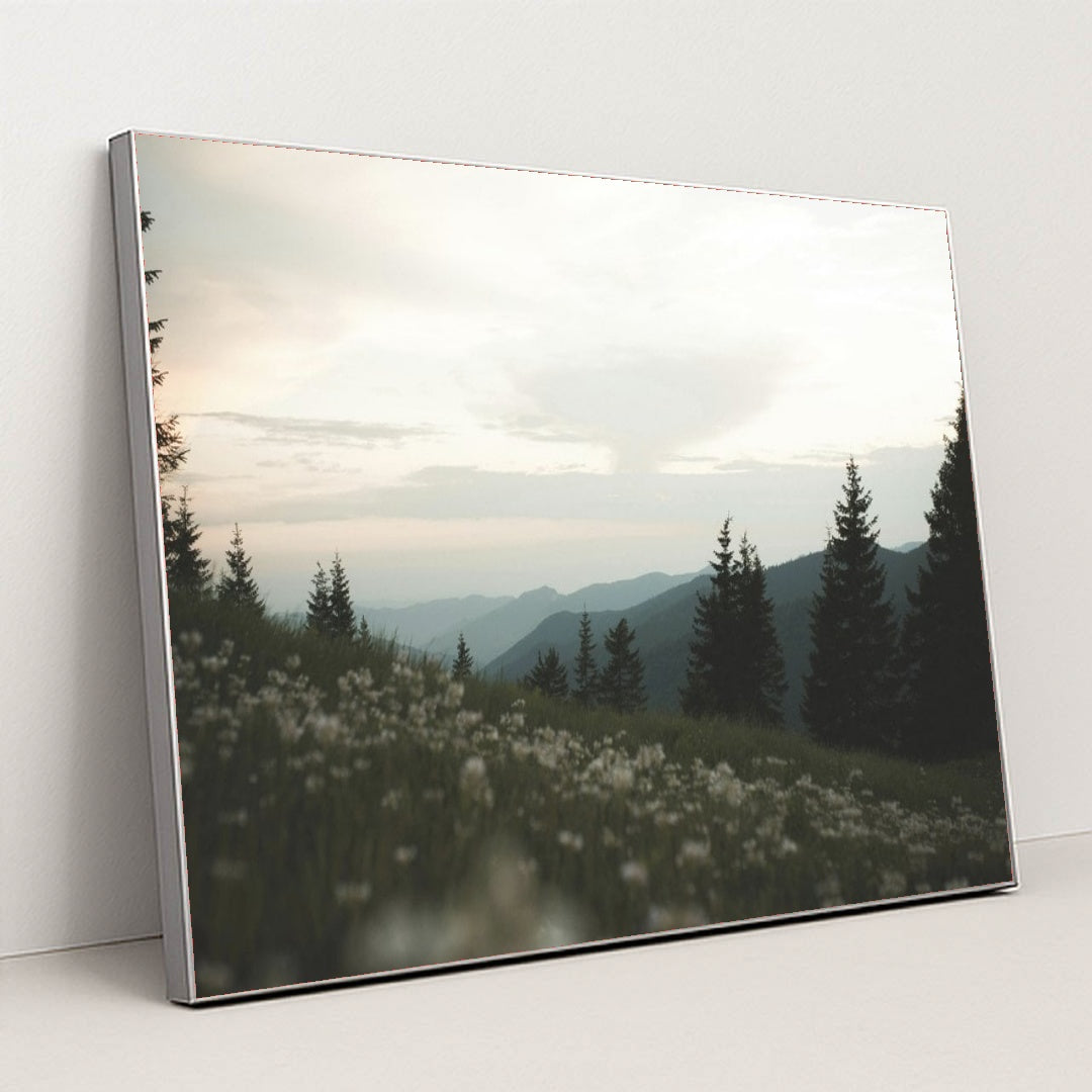 7090224332835 - Product Image