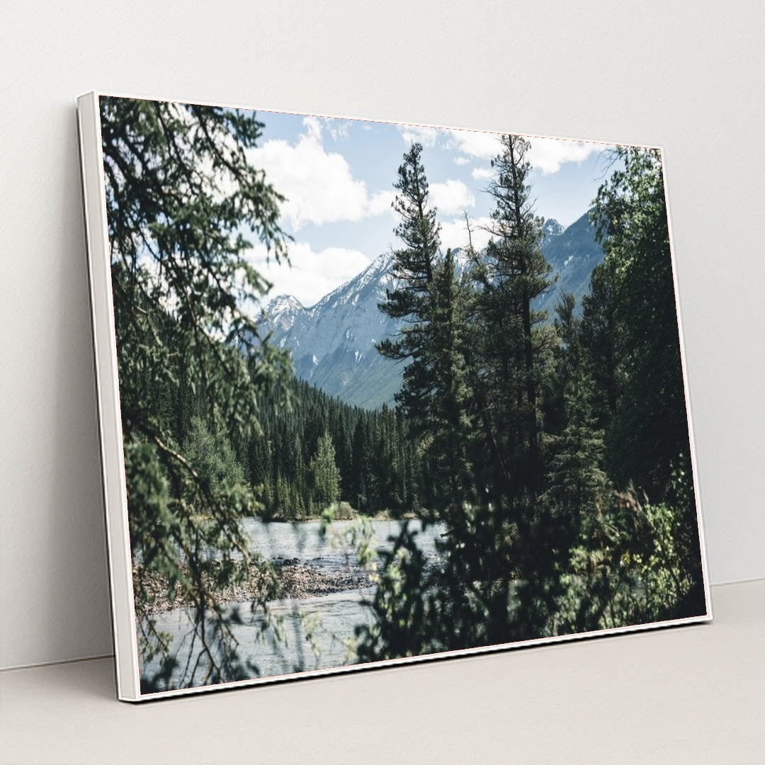 7090384142371 - Product Image