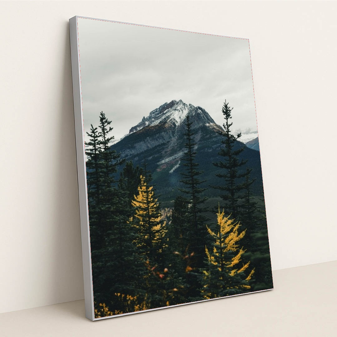 7090801475619 - Product Image