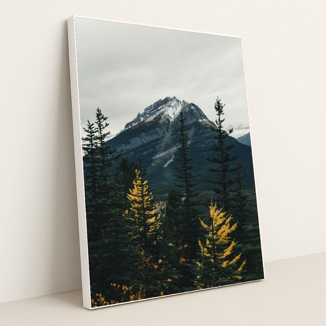 7090801475619 - Product Image