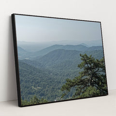 7090354520099 - Product Image