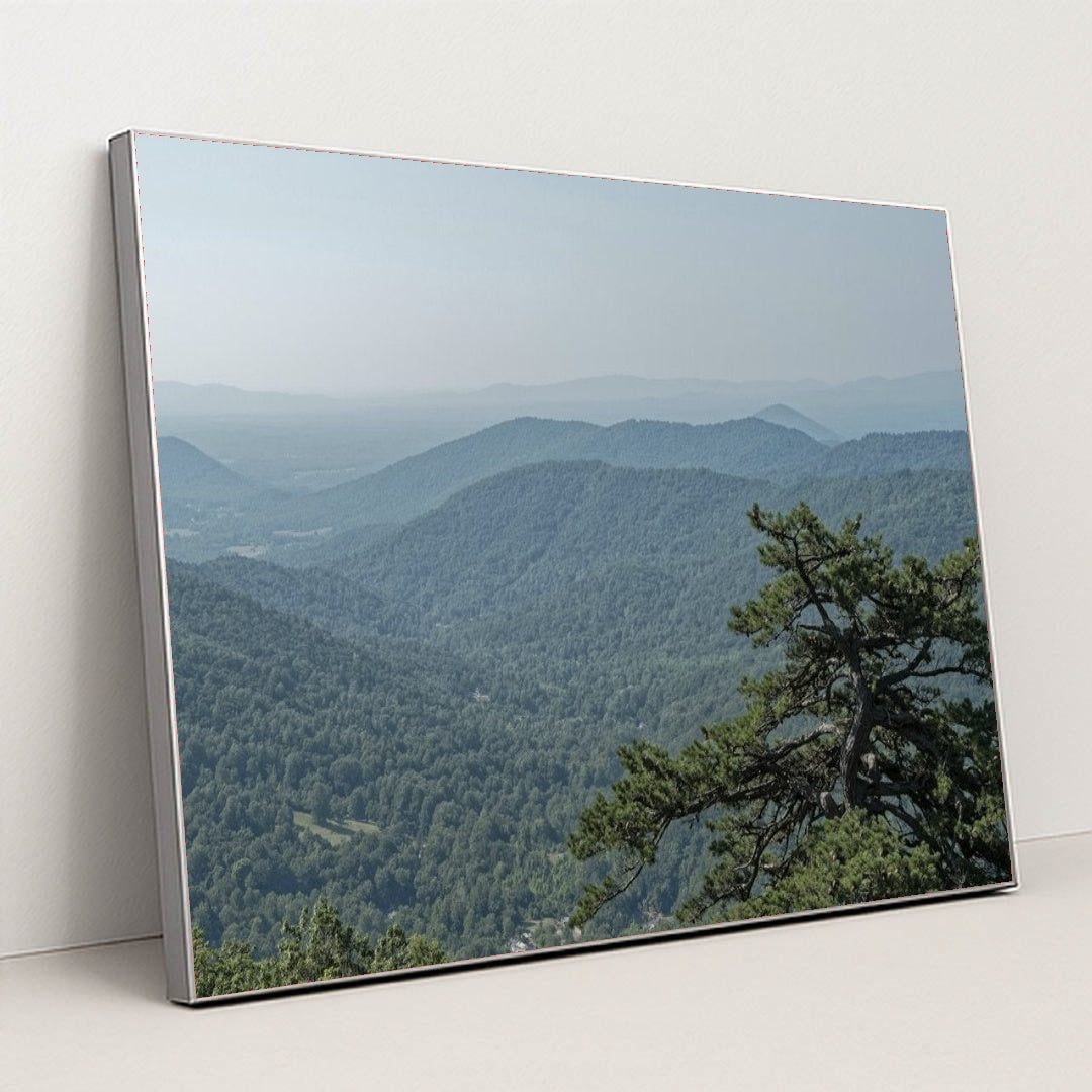 7090354520099 - Product Image