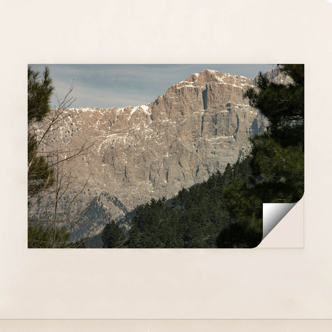 7090295898147 - Product Image