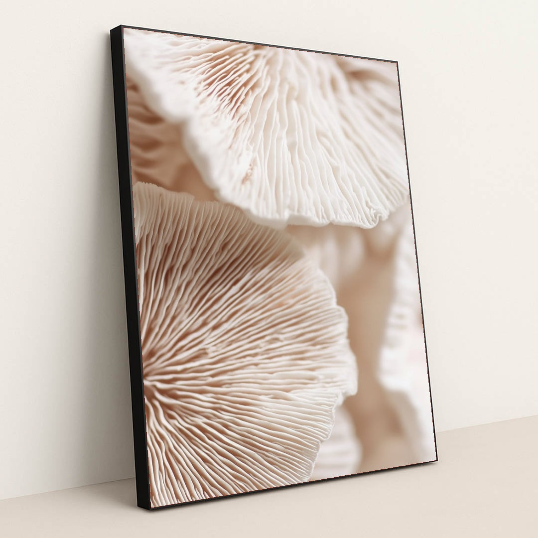 6502 - Product Image