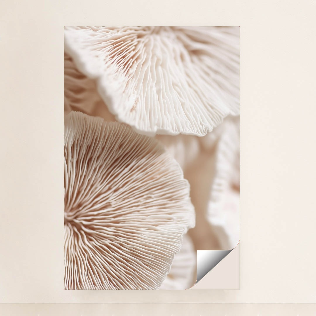 6502 - Product Image