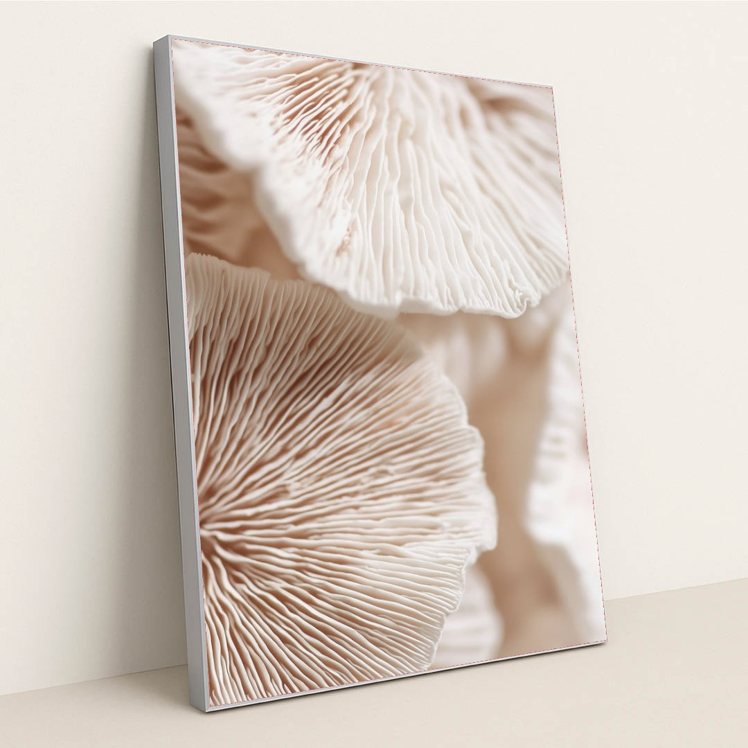 6502 - Product Image