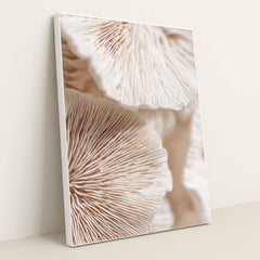 6502 - Product Image