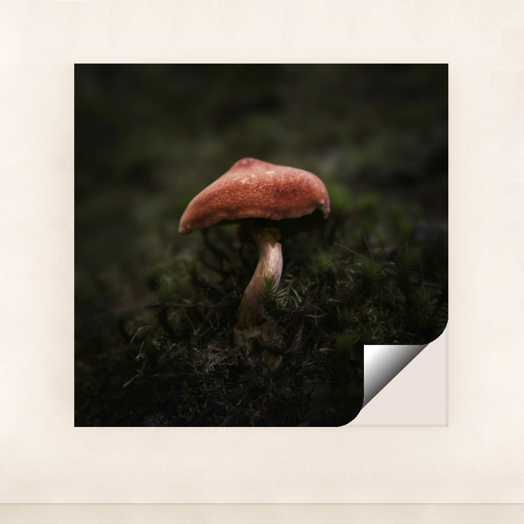 7090293407779 - Product Image