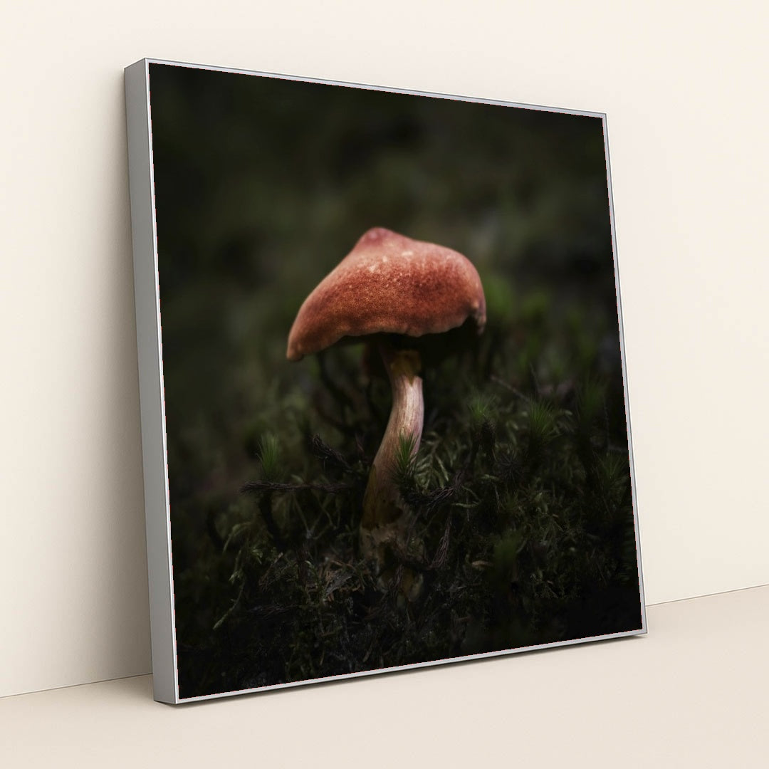 7090293407779 - Product Image