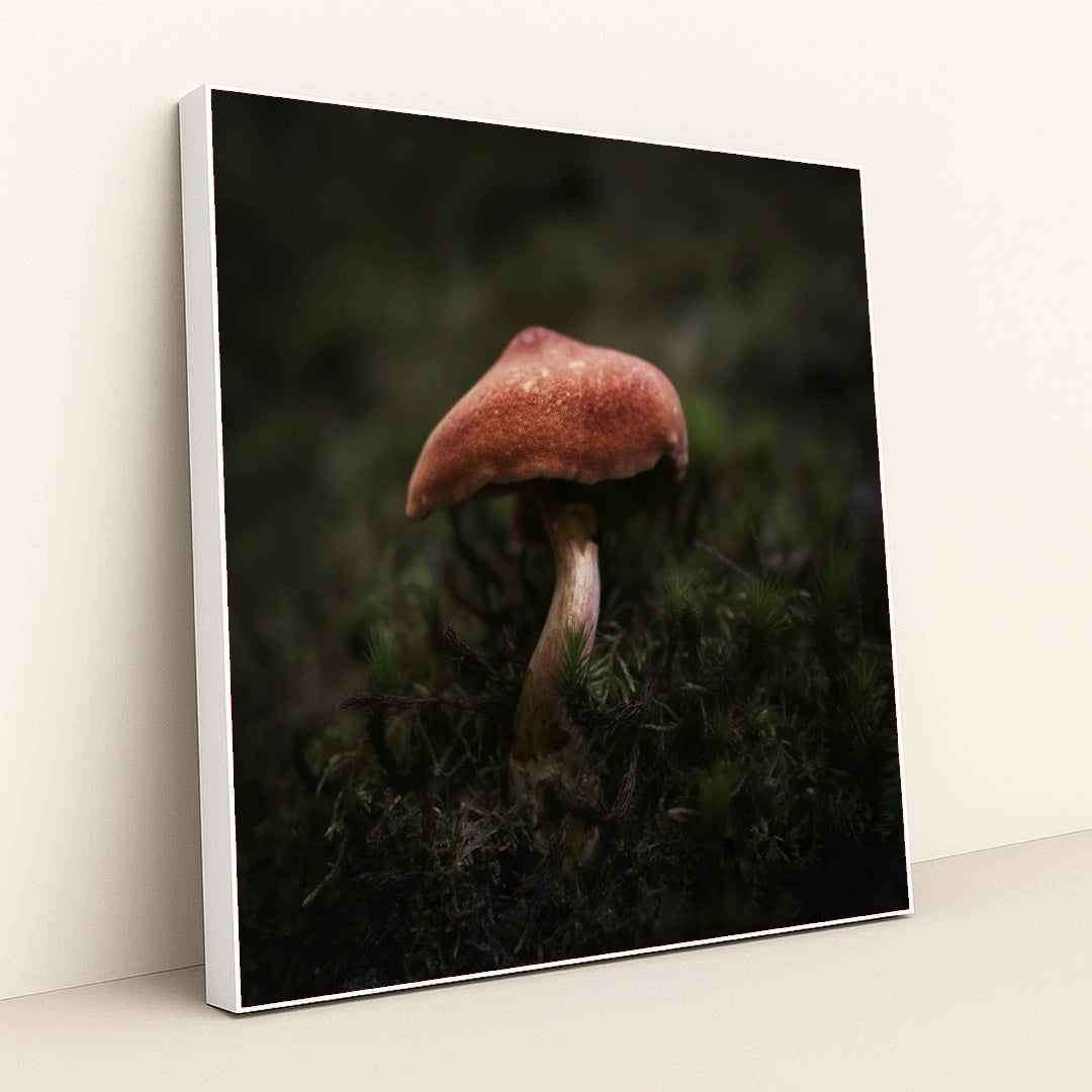 7090293407779 - Product Image