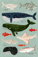 Ocean Friends by Melissa King