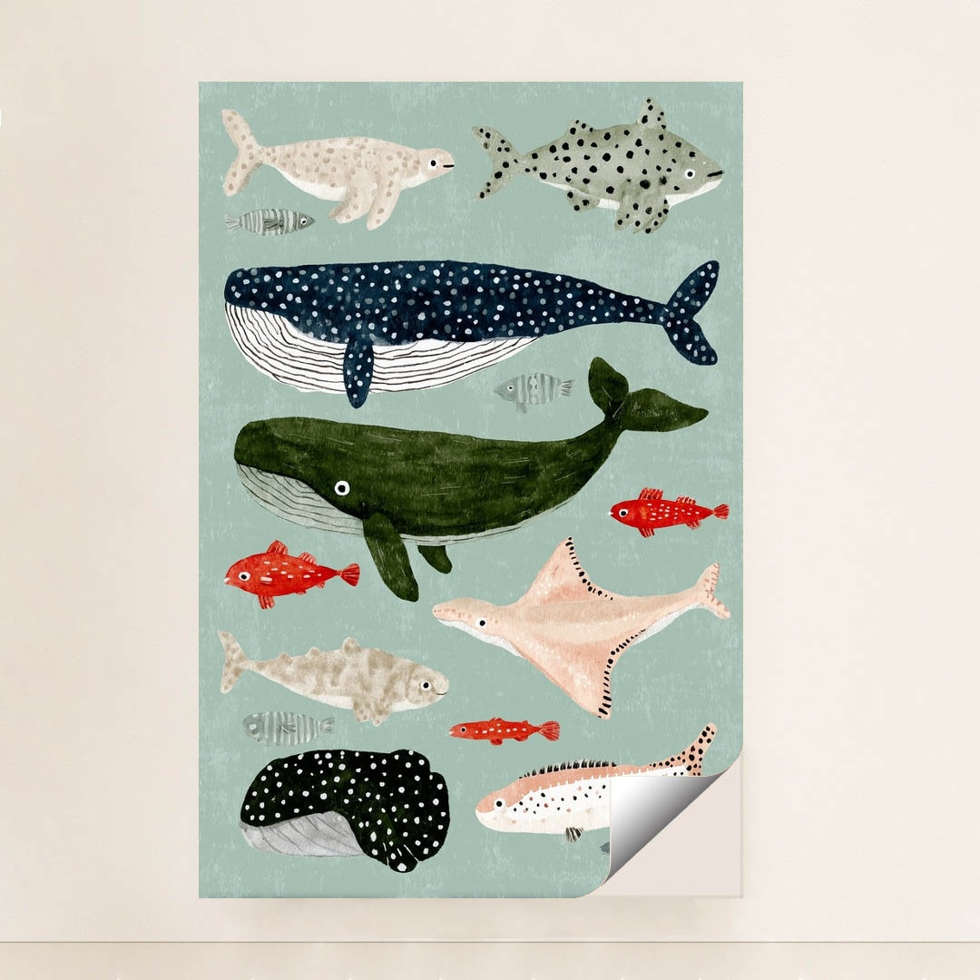 Ocean Friends by Melissa King - Peeliez