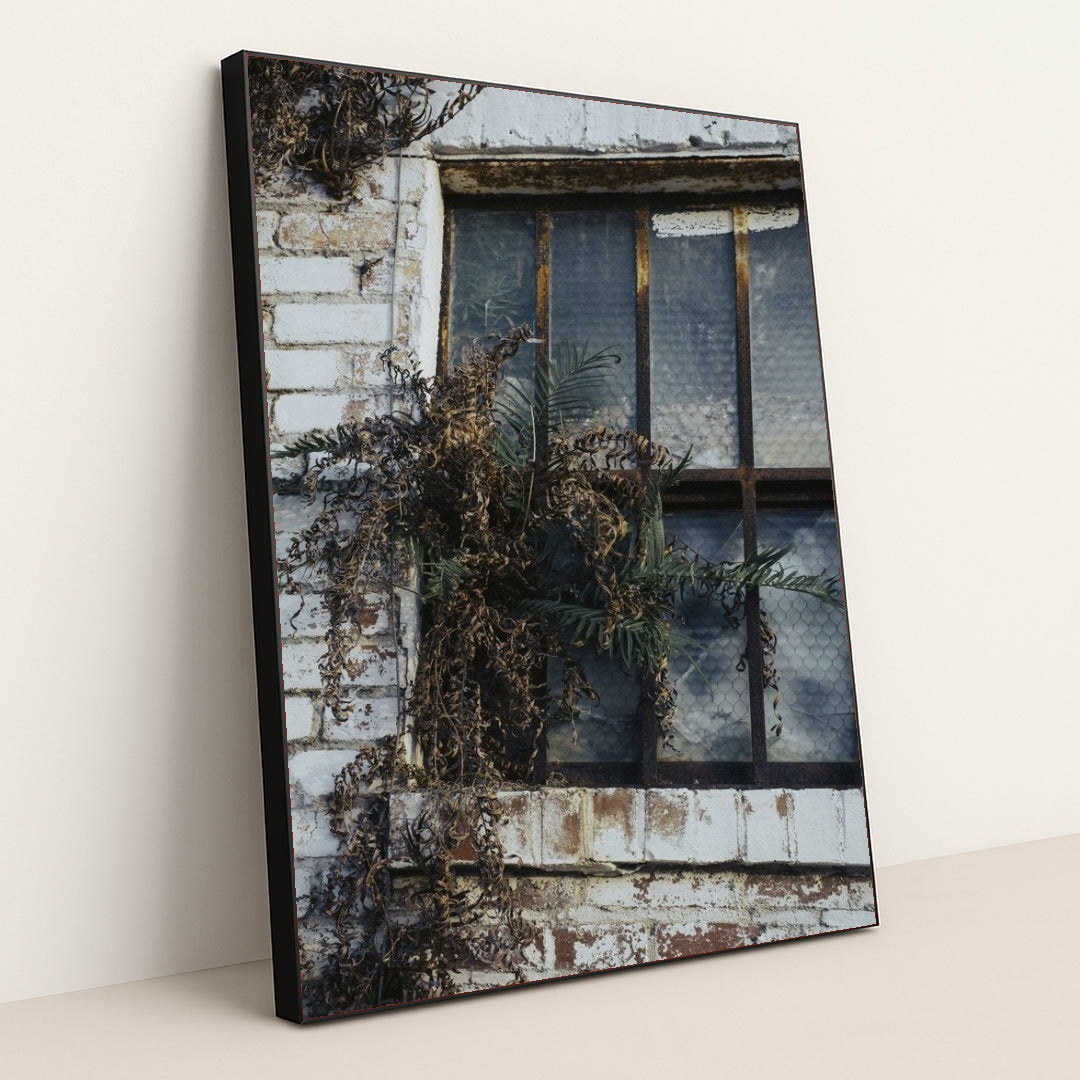 7090694750243 - Product Image