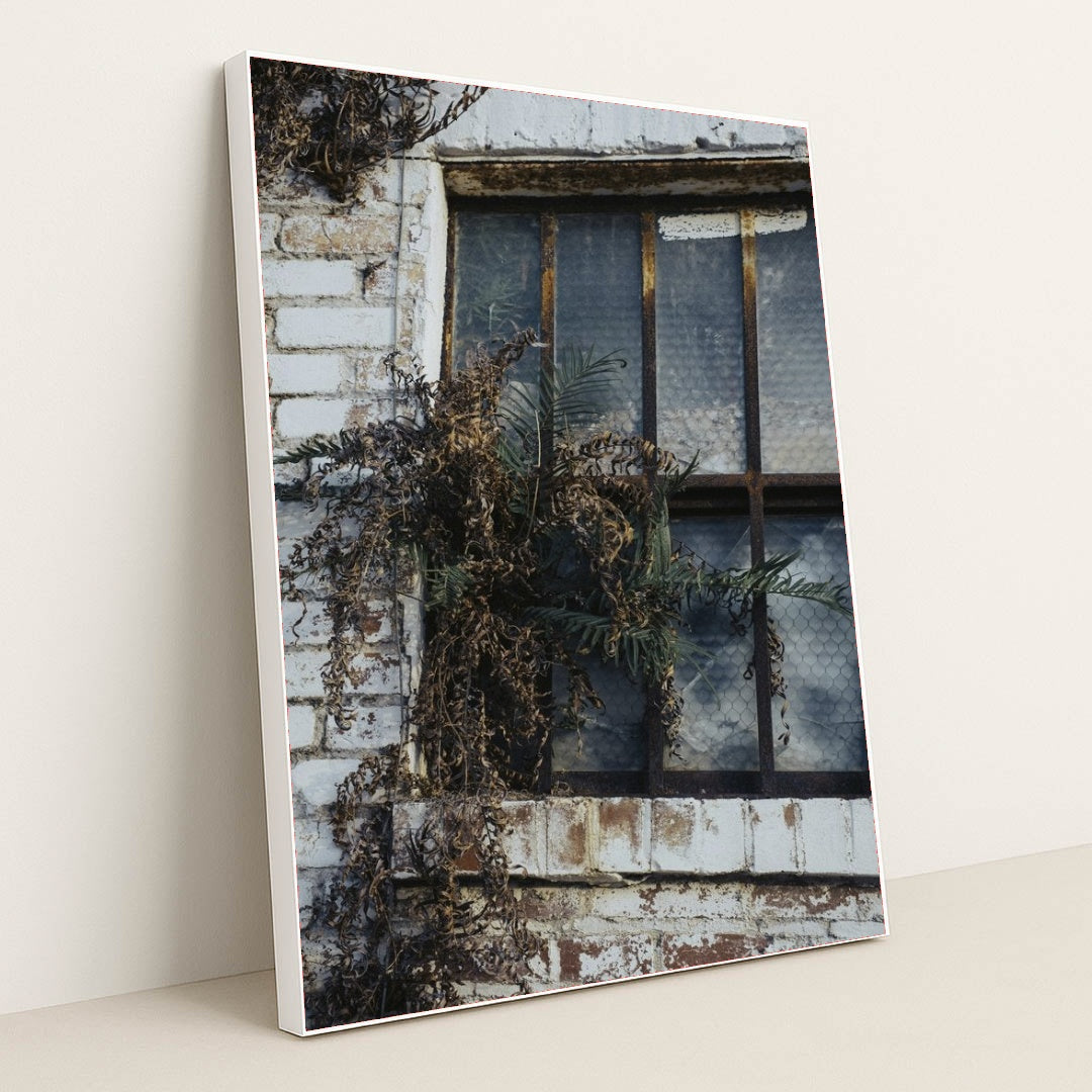 7090694750243 - Product Image