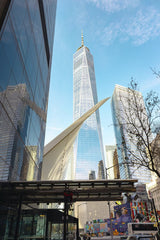 Supreme From Queens - View of One World Trade Center with surrounding architecture in NYC on a clear day.