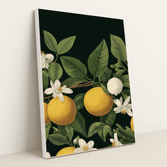 6221 - Product Image