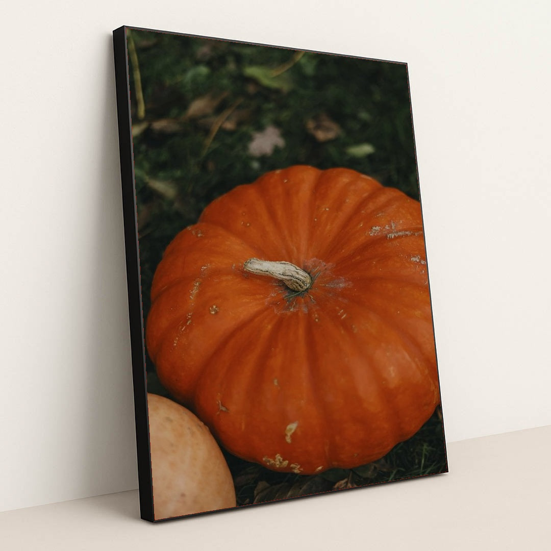 7090329714723 - Product Image