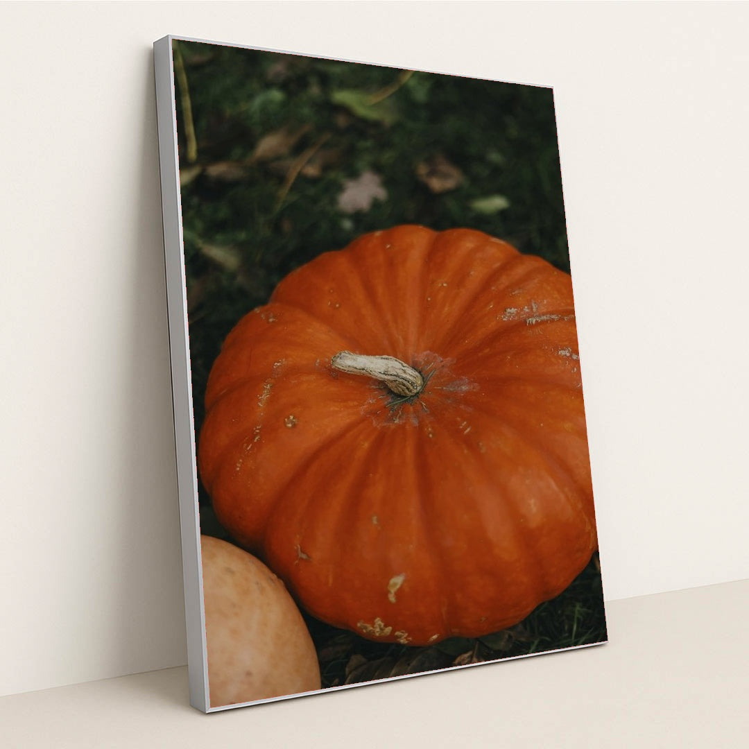 7090329714723 - Product Image