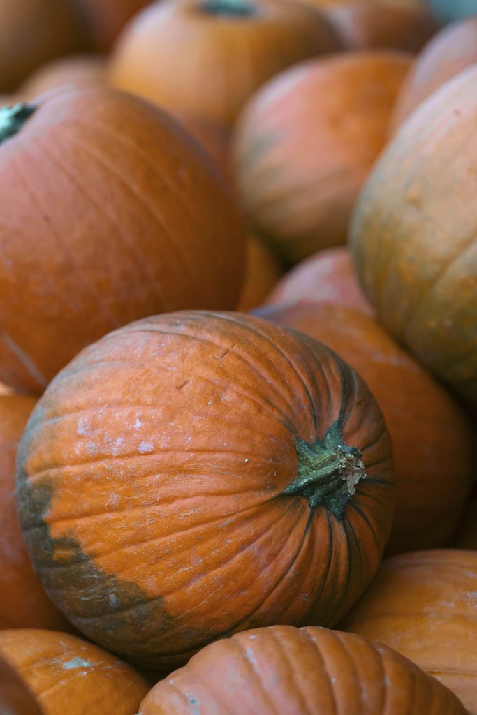Sergio Zhukov - A close view of stacked fresh orange pumpkins, ideal for autumn and Halloween themes.