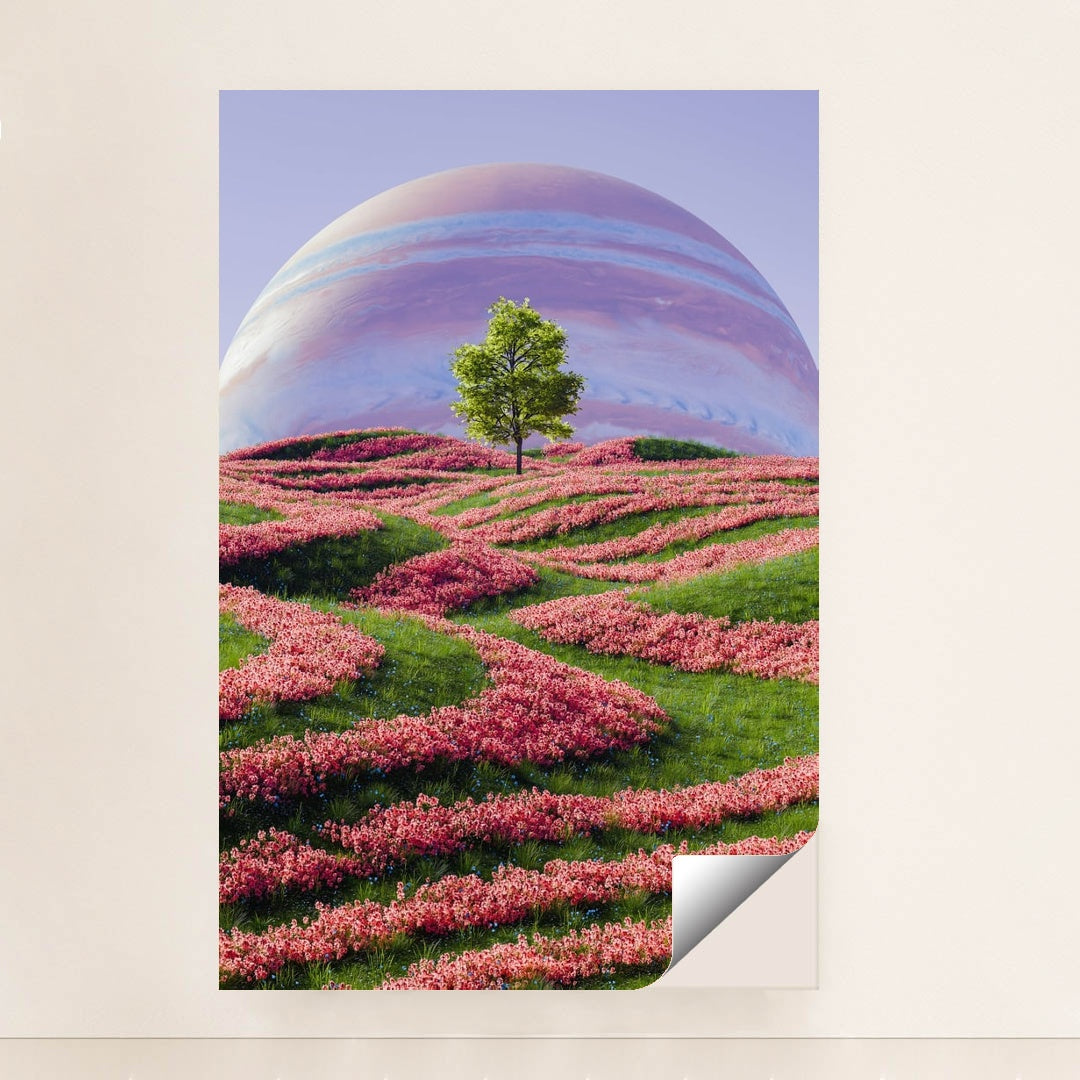 Orbit Garden by Alex Shuper - Peeliez