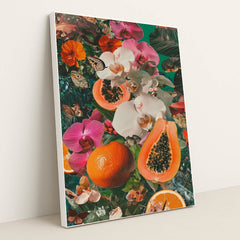 Orchid Delight by Luca Verden - White Frame Stretchiez