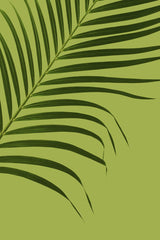 Allec Gomes - A simple and elegant image of a tropical palm leaf against a green backdrop, perfect for nature themes.