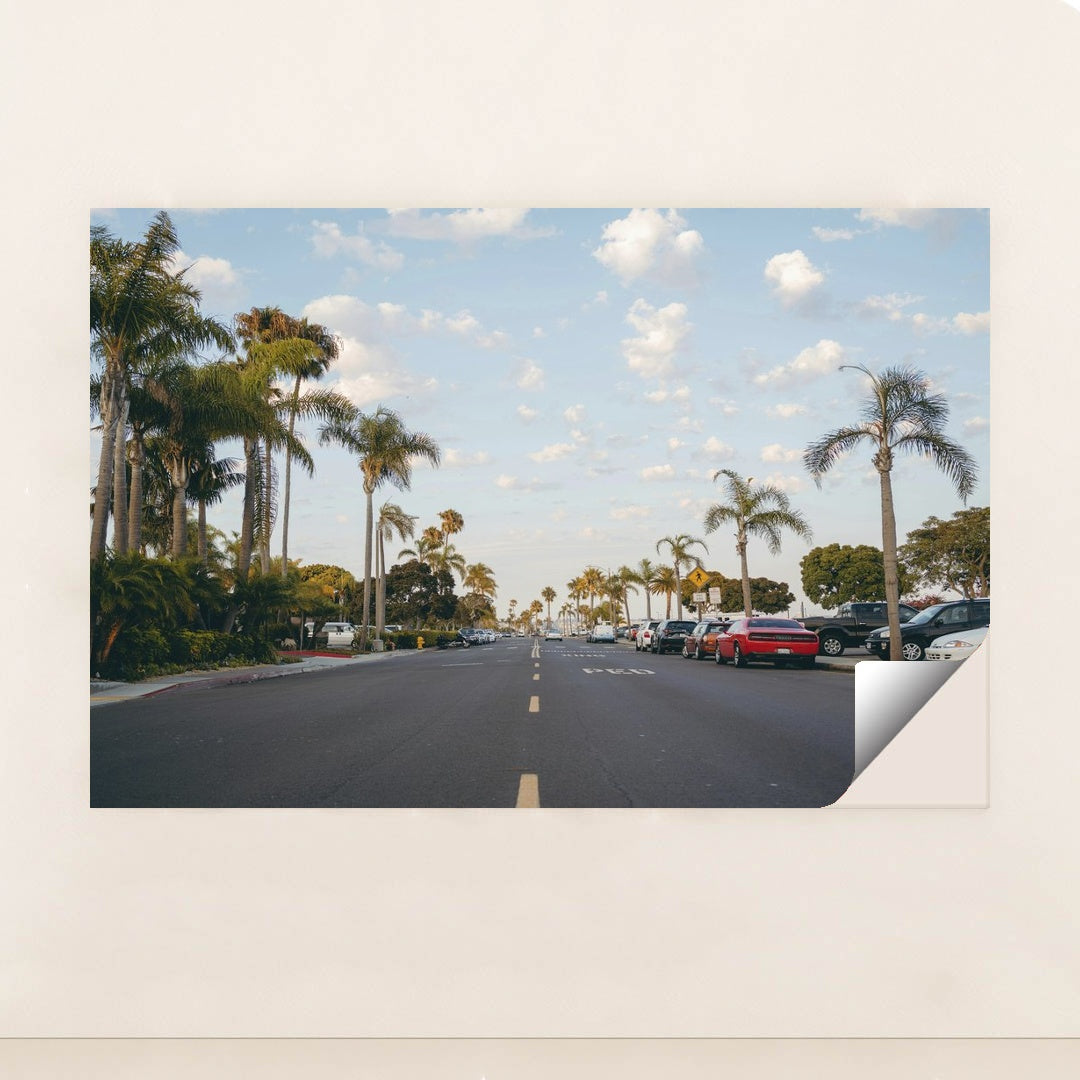 Palm-Lined Street in San Diego by Matt Hardy - Peeliez