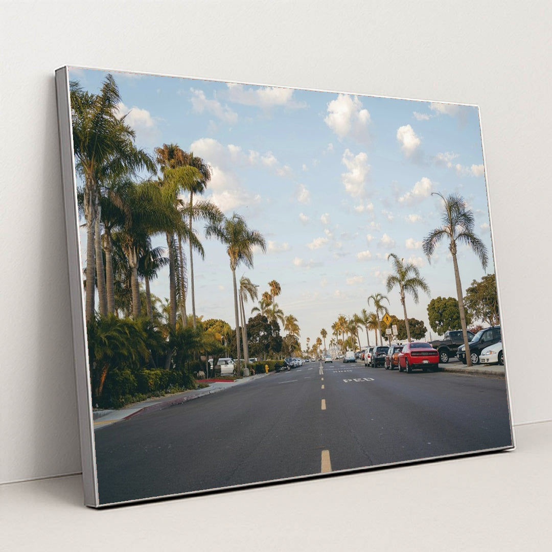 Palm-Lined Street in San Diego by Matt Hardy - Silver Frame Stretchiez