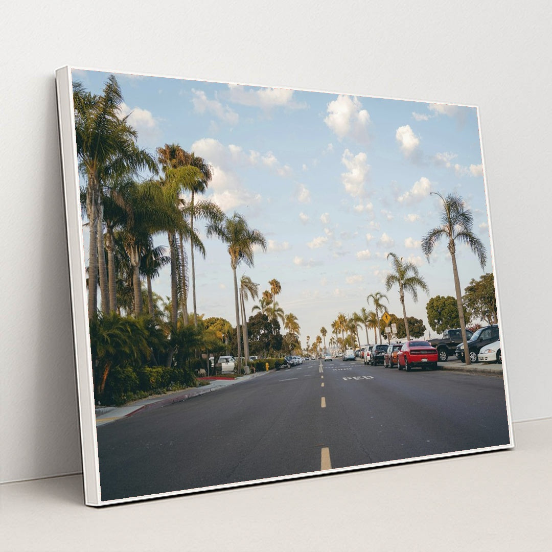 Palm-Lined Street in San Diego by Matt Hardy - White Frame Stretchiez