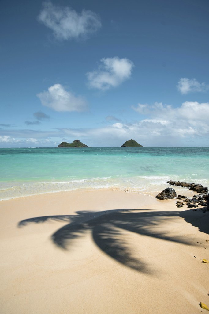 Jeremy Bishop - Peaceful tropical beach scene with turquoise water and palm shadow on sand.